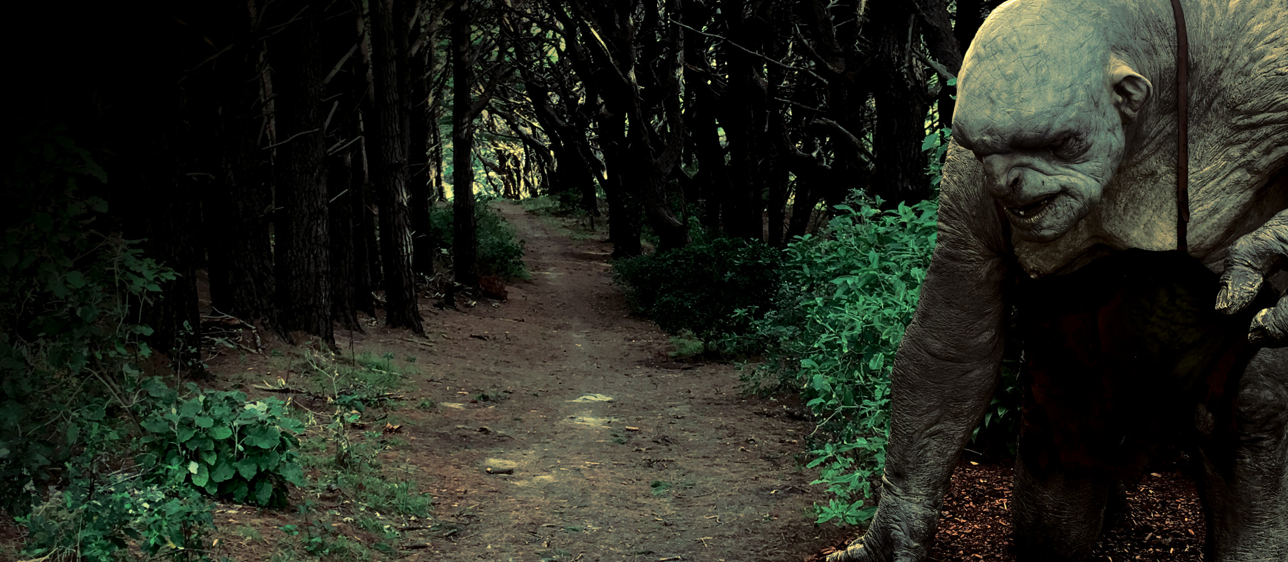 wellington lord of the rings tours nz